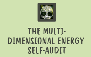 Cover of the multi-dimensional energy self-audit tool.